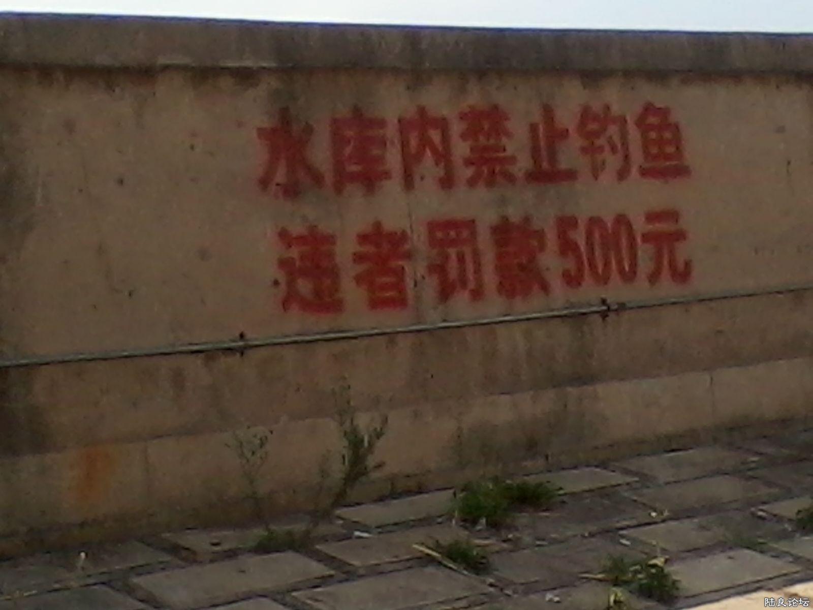 ��Ȼ�����������