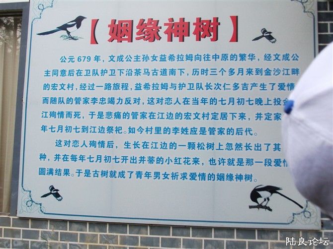 ������һ��--��Ե�� 1.jpg