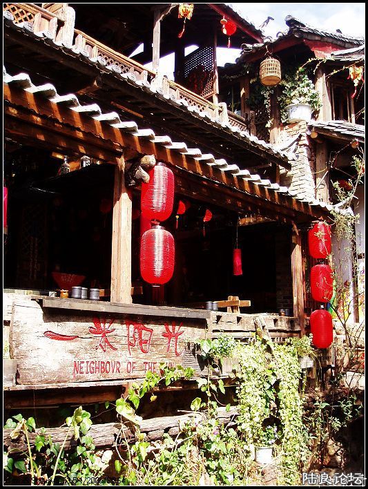 �ٺ�  ��Ҷ����õ�.jpg