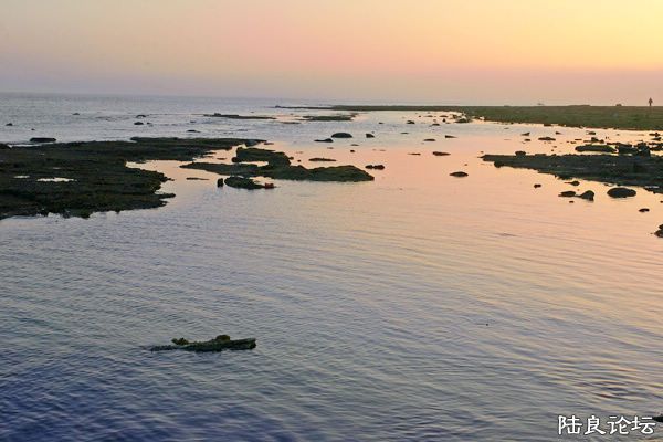 ������ϼ