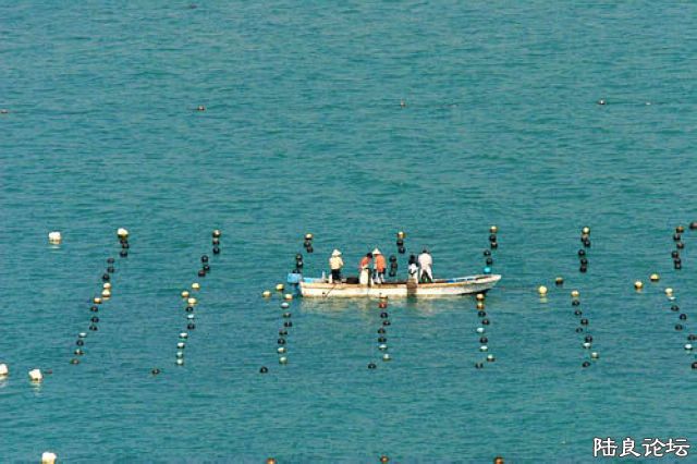 ������ֳ