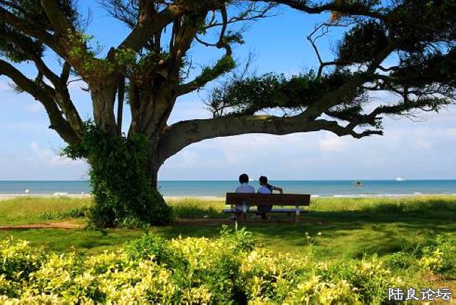 ����ȥ����