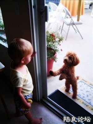 ���ҽ�ȥ �Ҵ���