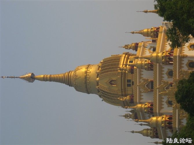 �»������