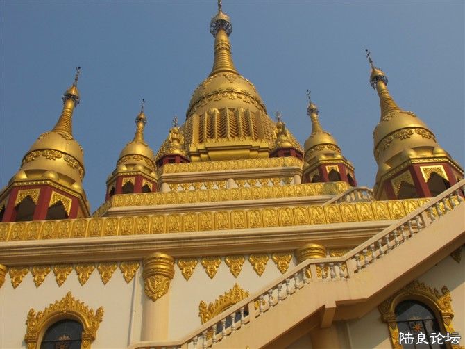 �»������