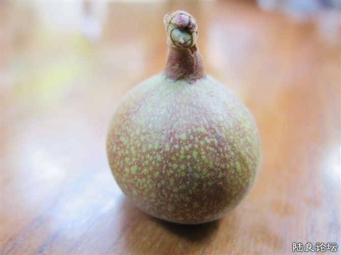 ֪������ʲô��