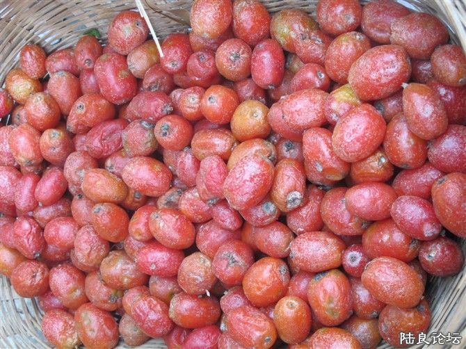 �²�����ʲô��