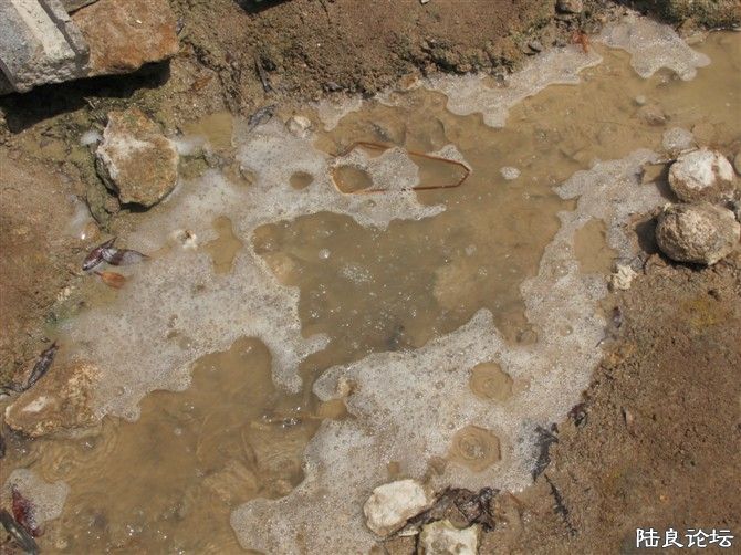 �����������󼦵��ĵط�