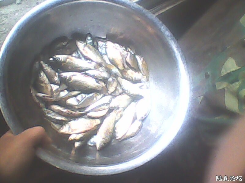 ������ 3��