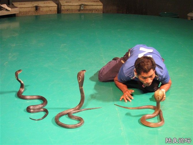 ���߱���