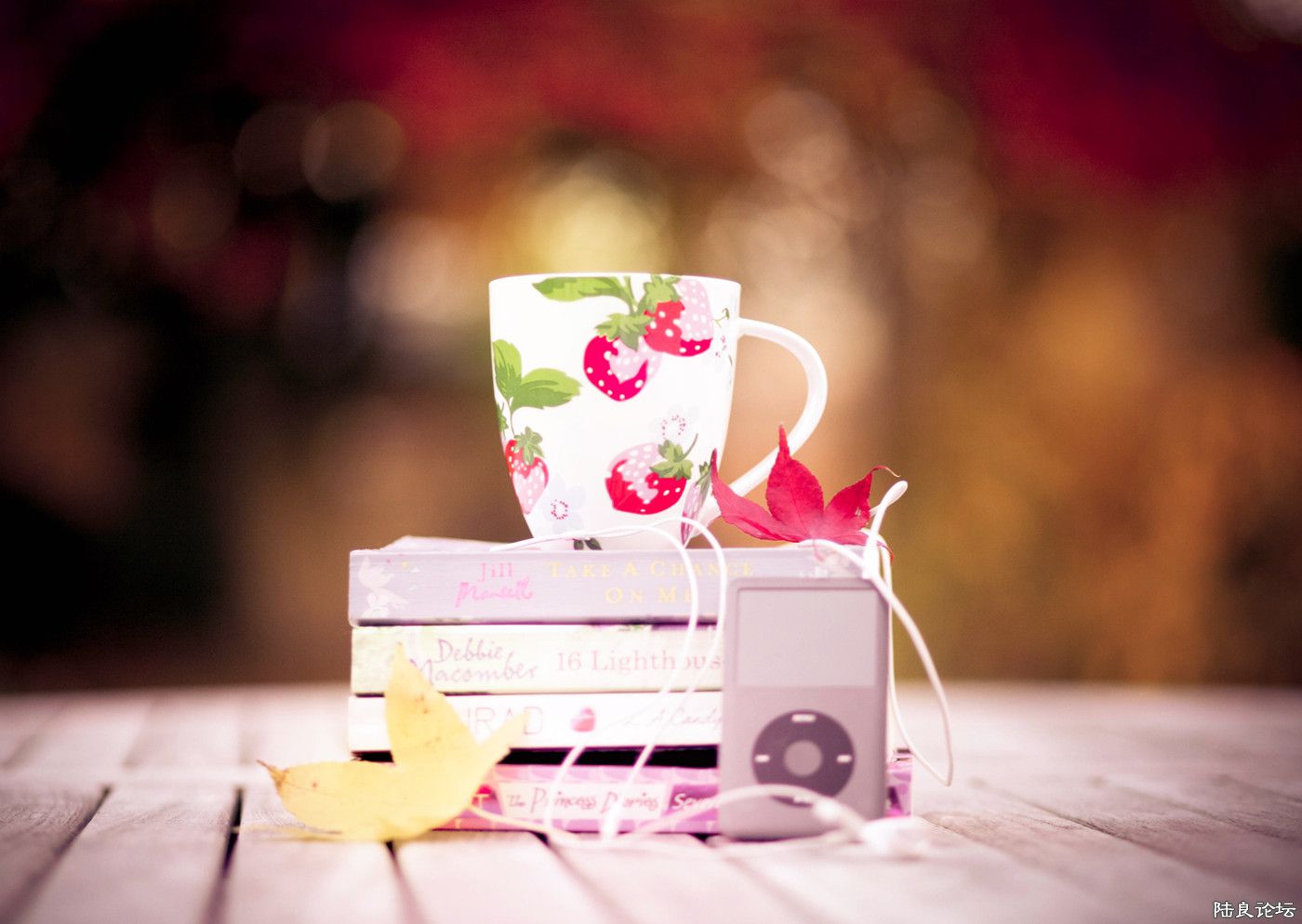 sasha (9)_����.jpg