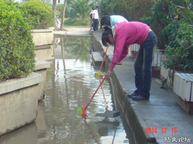 ����� 242.jpg