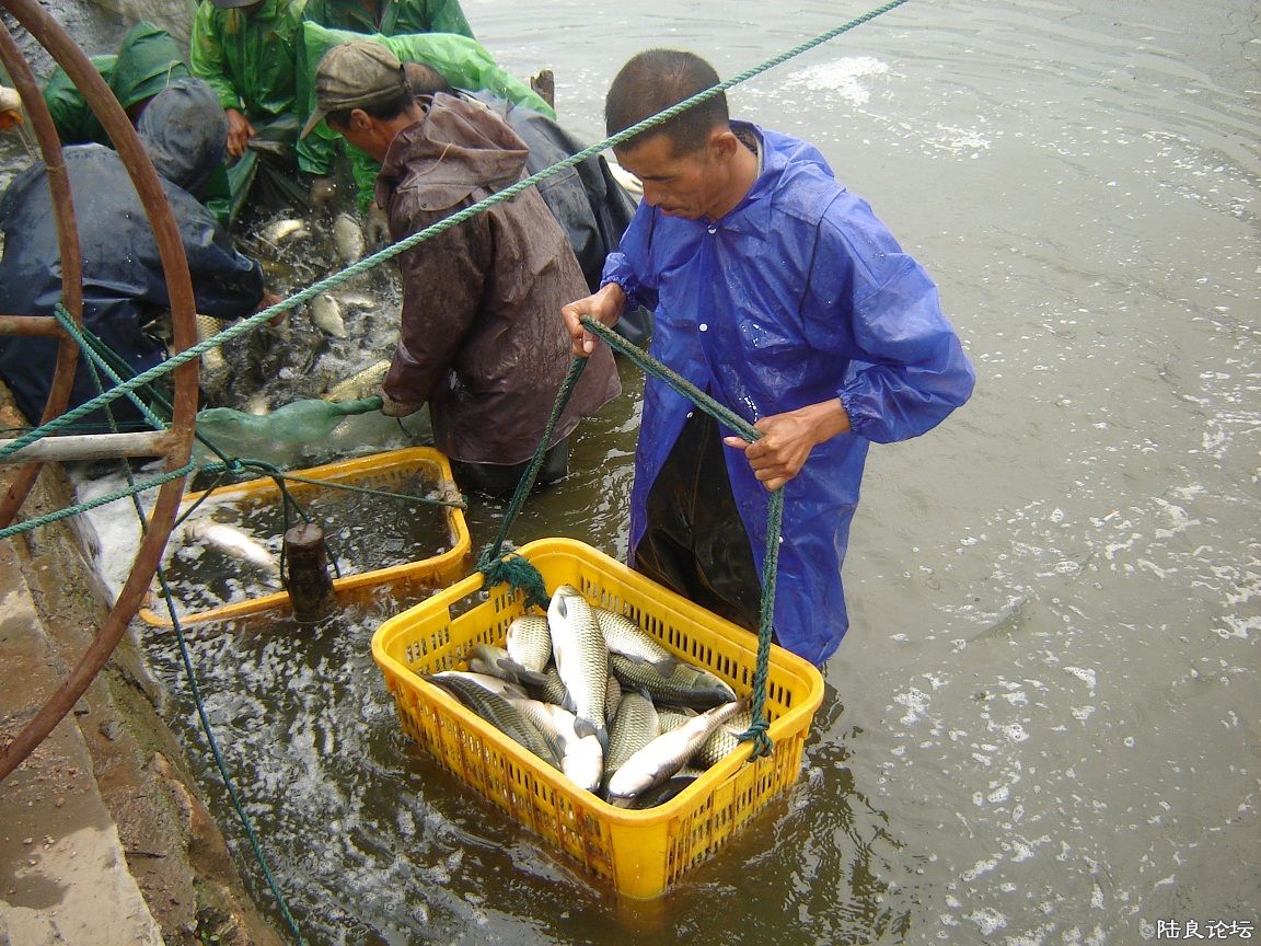 ��ˮ����ҵ����