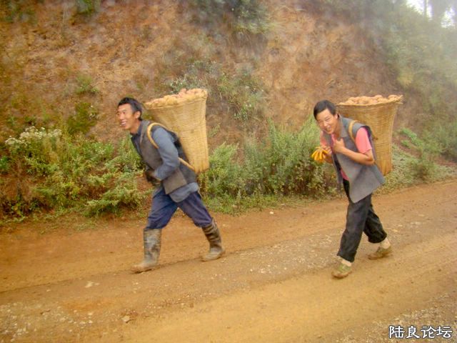 �ֹ۵����庺��