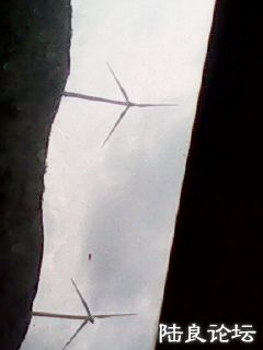 ����ɽ�ķ�������