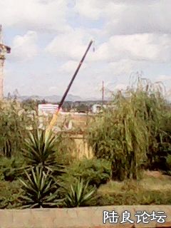 Զ�����16�ֵ���