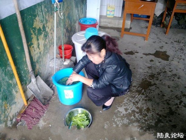 ɽ���󷹵���ʦ