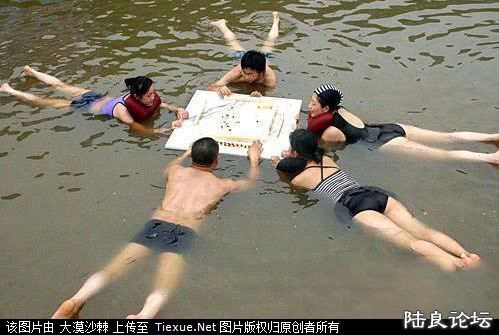 �������ָ��齫������