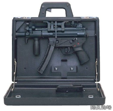 ����ʽ��Яǹ�ڲ�����