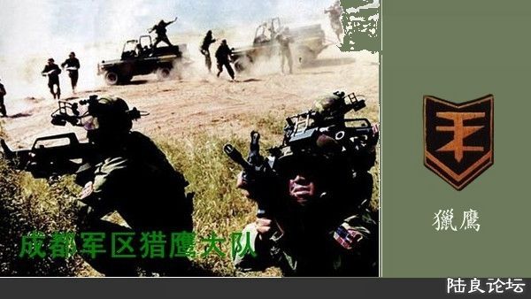 �ɶ�������ӥ���