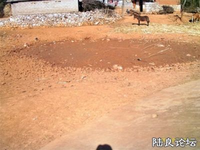 ����ԭ����һ��ˮ���������Ѿ��ɿ��ˣ����ǿ�����ֻ��һ��һ�����������������������ˮ���������ǿ�Ȫˮ�� ...