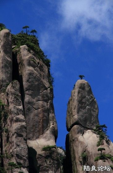 ���� (0).jpg