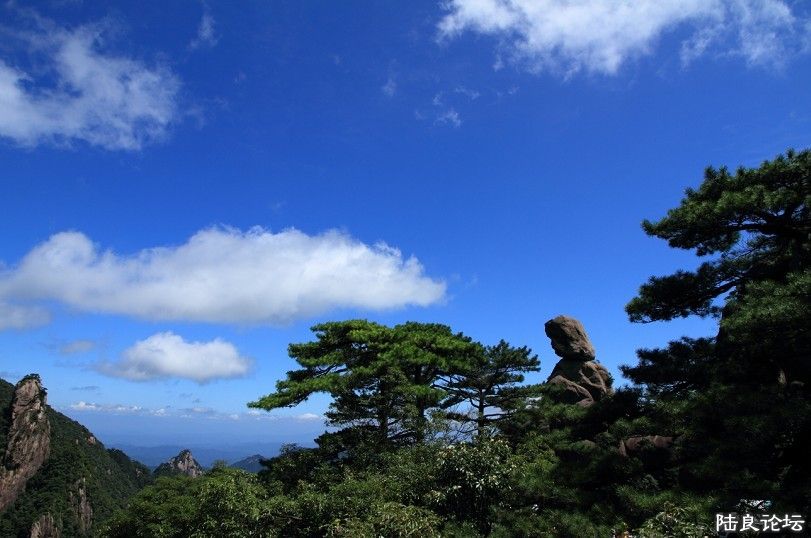 ���� (2).jpg