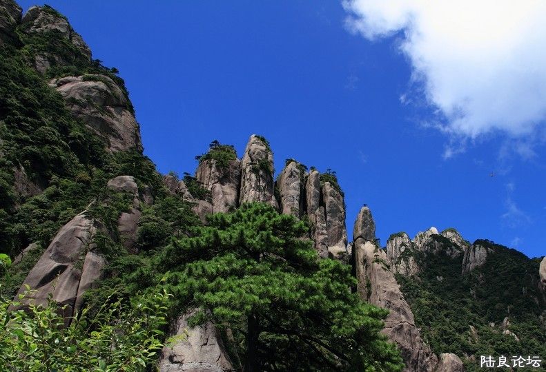 ���� (6).jpg