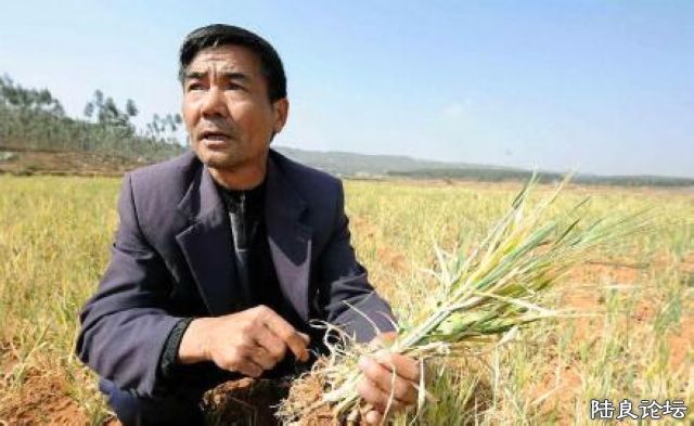 Ǹ�յ�����