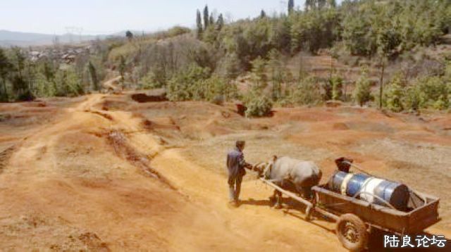 ɽ��ũ�񿹺�����