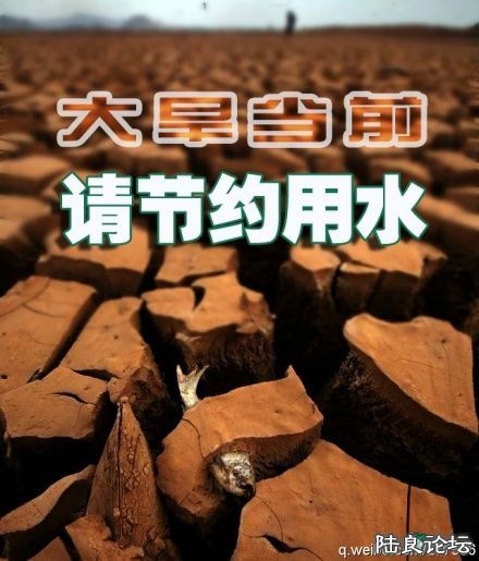 ���������Ļ�ӭ��ļ���