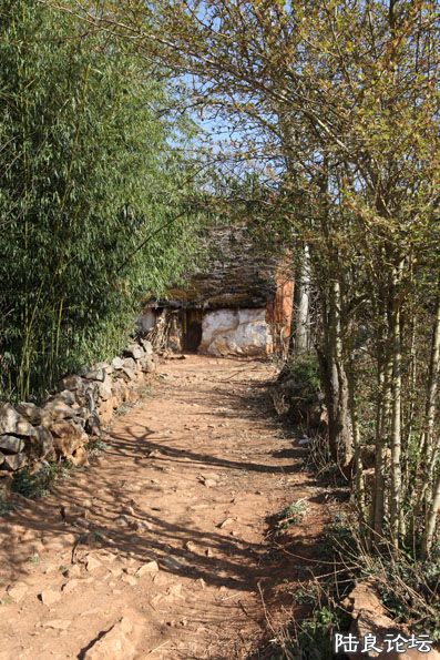 ��Ƭ 202����.jpg