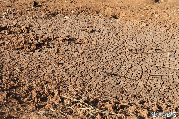 ��Ƭ 226����.jpg