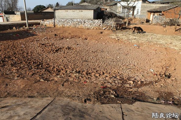 ��Ƭ 227����.jpg