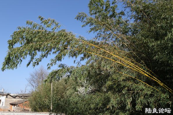 ��Ƭ 197����.jpg