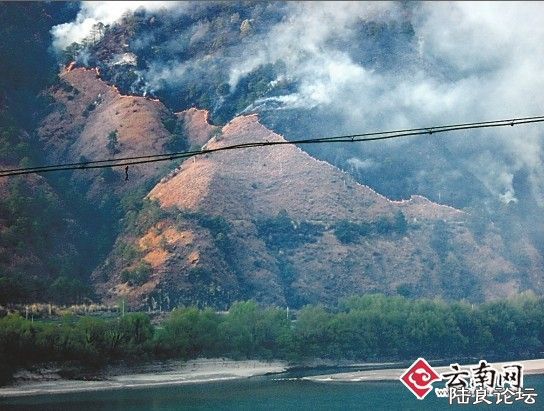 ����պ���������