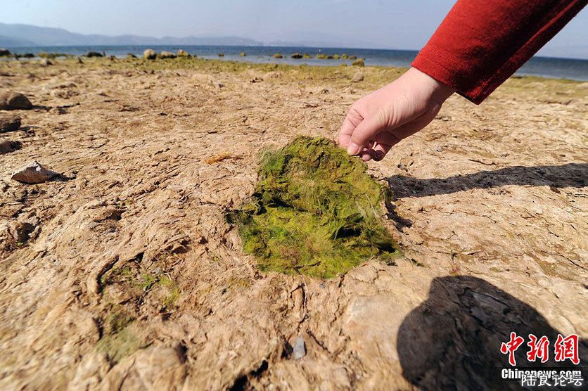 �ɺԶ�����̦޺