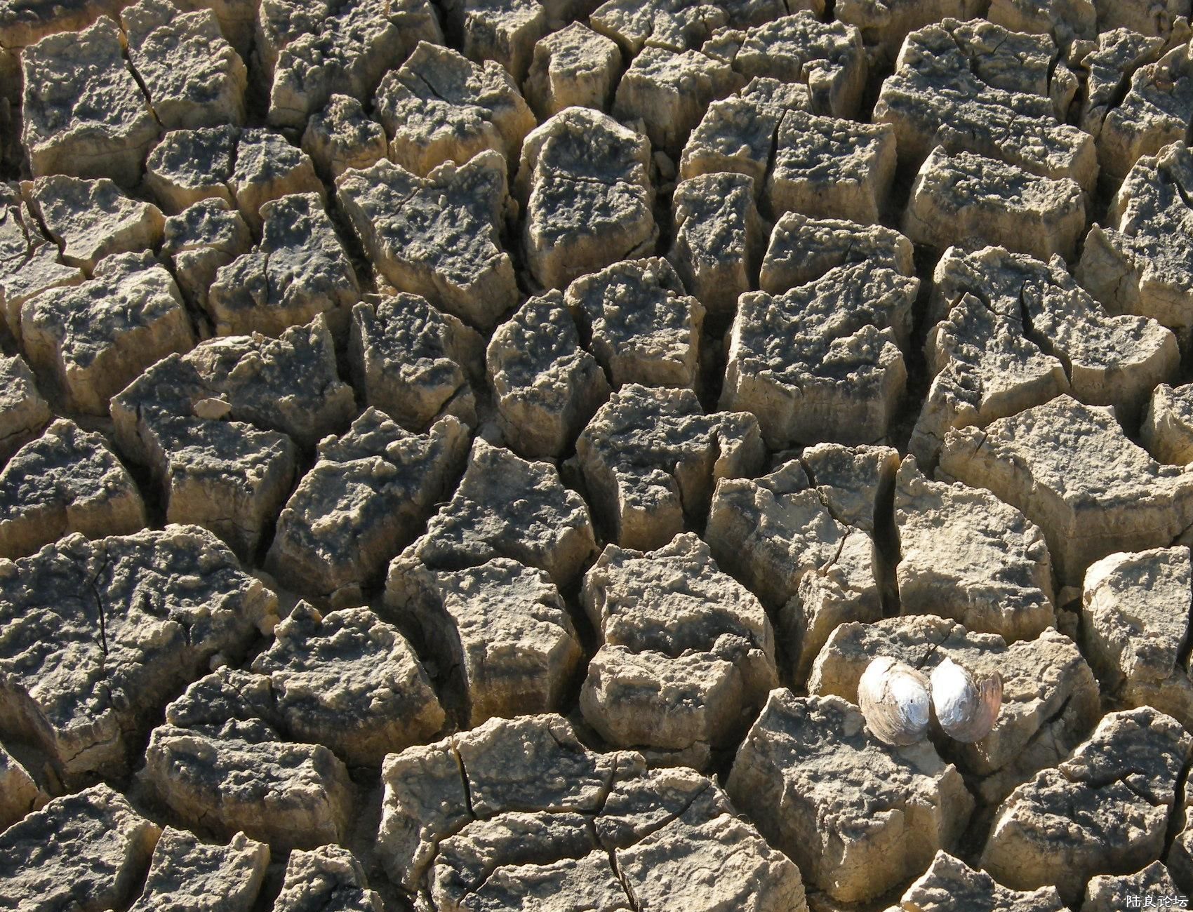 �㿴�ó�ˮ�����������Ĵ�����