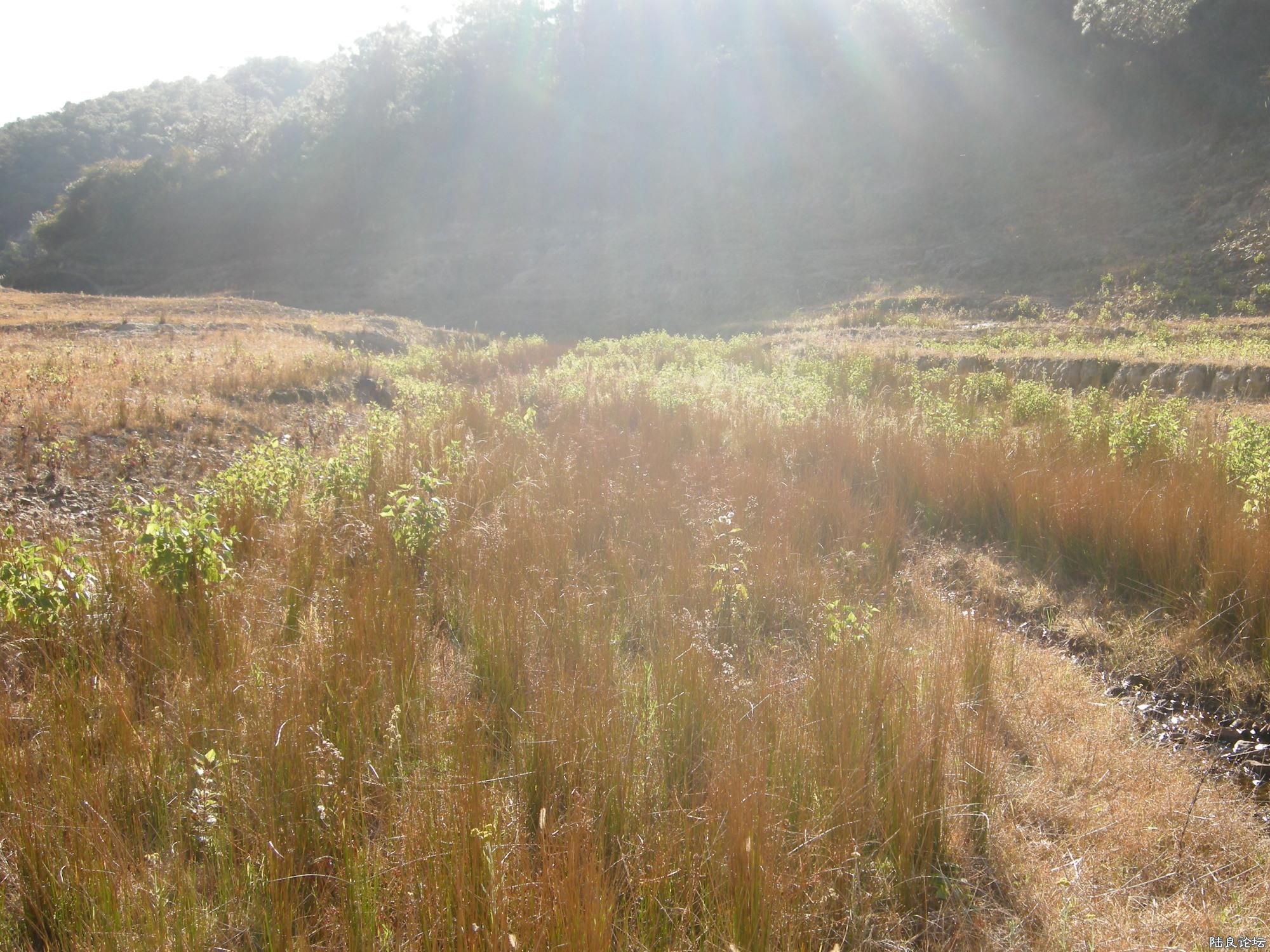 ˮ�����ν��еġ�СϪ��