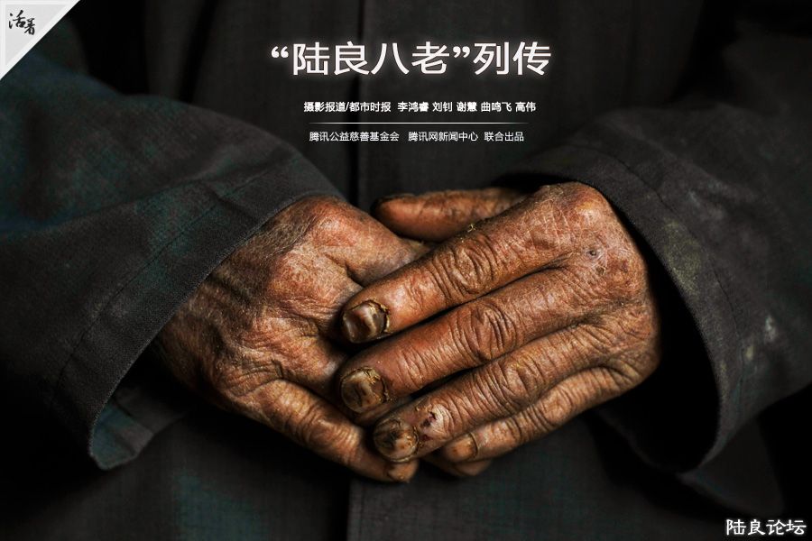 ����½����8λ��ͨ��ũ�����ˣ���ʮ������ֻ���������£���������ɽ��������16ֻ���ڻ�ɽ���ֳ���13.6��Ķ�� ...