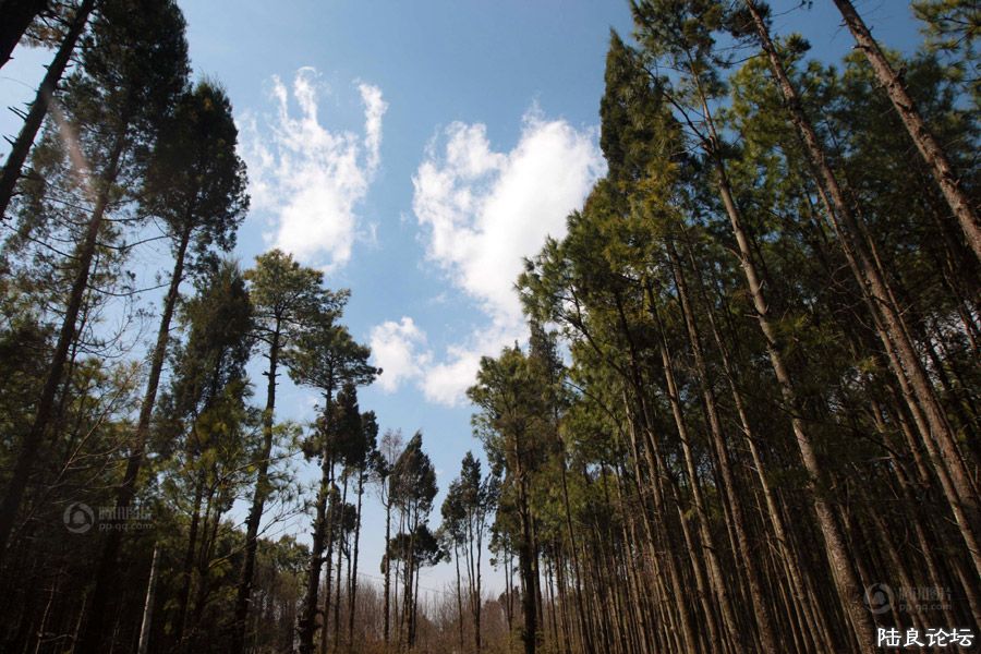 ��½���سǳ�������;��ɽ���鲼��ʯ�������͵����ܵ�ò������ʯĮ���̶����ء�Ȼ���ھ��س�30���ﴦ���� ...