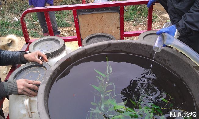 ����һͰͰ�峺�������ˬŶ��