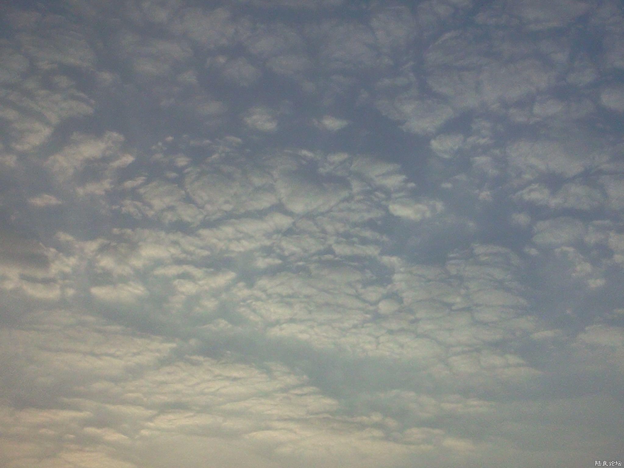 ���߀�Ǵ��