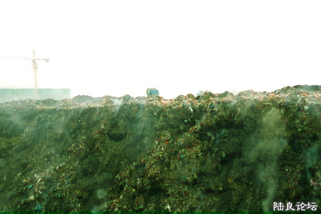 ���� DSC_0047.JPG