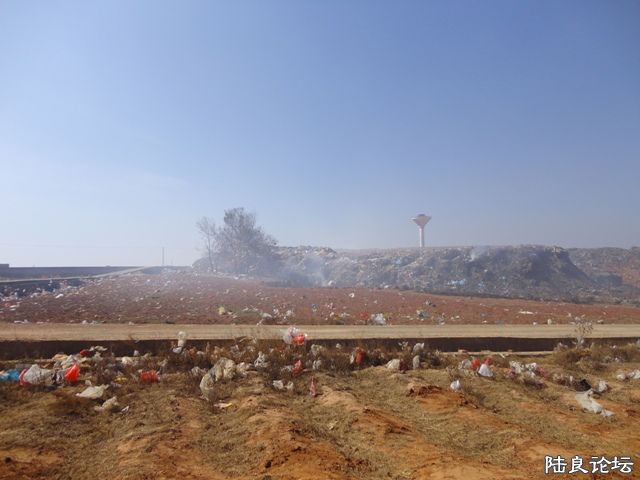 ���� DSC00288.JPG