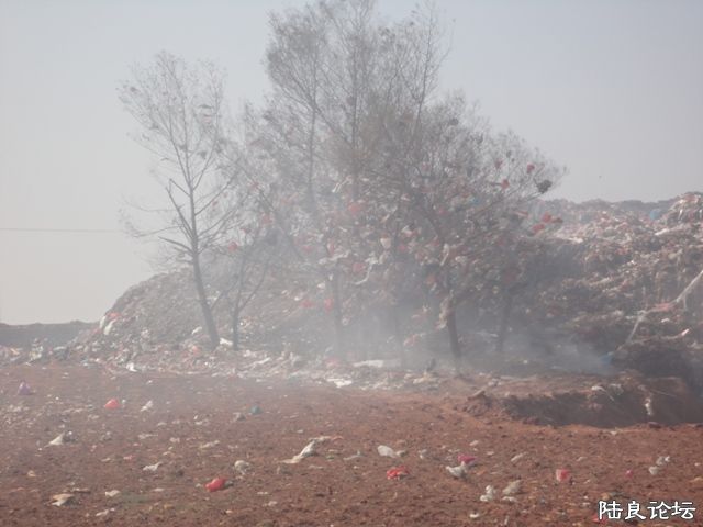 ���� DSC00292.JPG