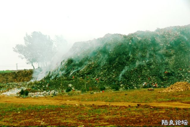 ���� DSC_0017.JPG