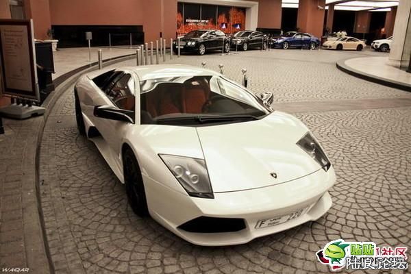 �����ܳ�  ������������lp640