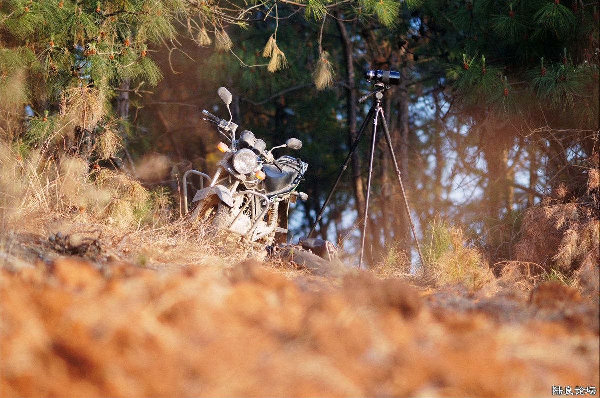 ��ͨ���߲�������Ƭ����Ҫ������