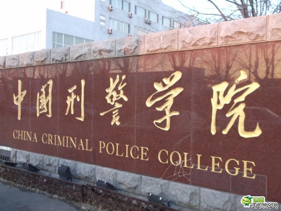 ѧԺ��������